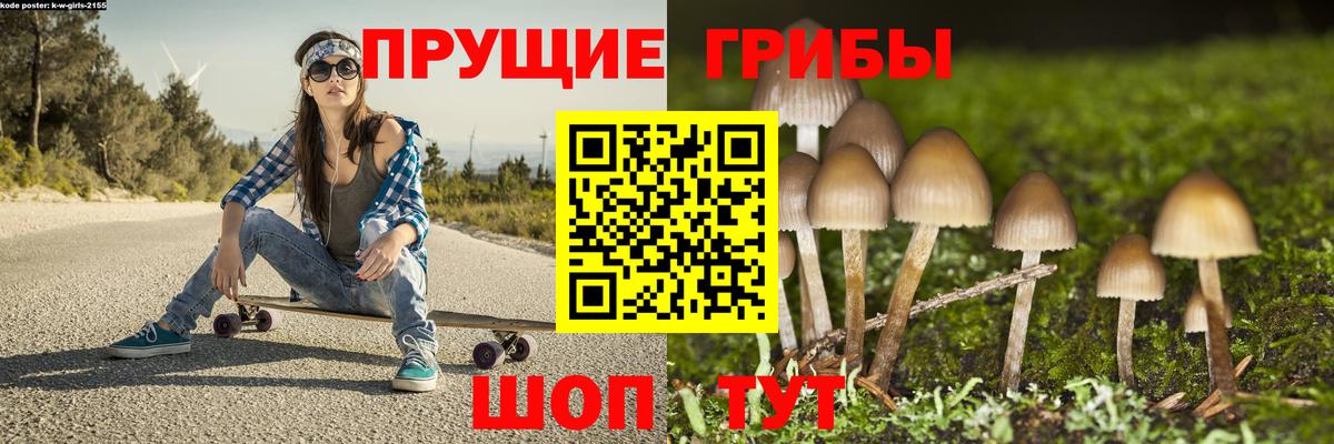 Галлюциногенные грибы Psilocybe Ливны