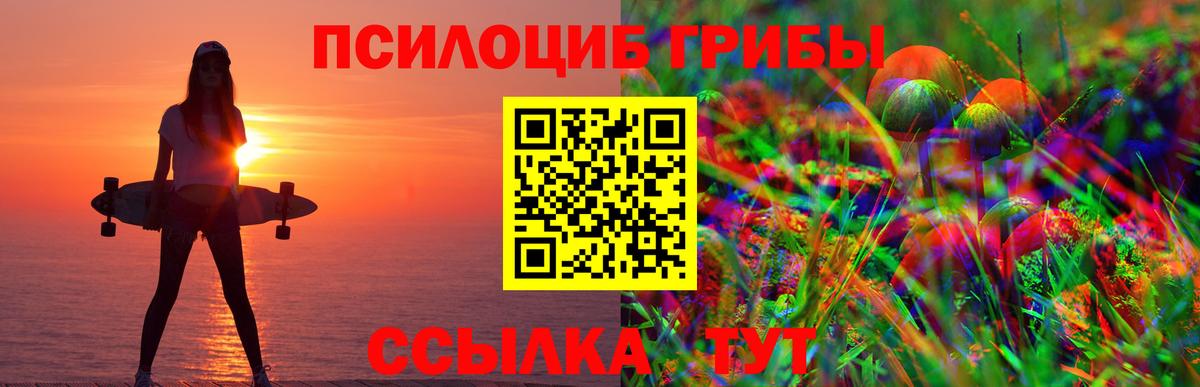 Псилоцибиновые грибы мицелий  Вход с VPN  закладки  Ливны 